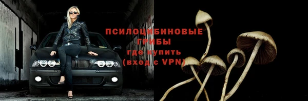 экстази Алексин