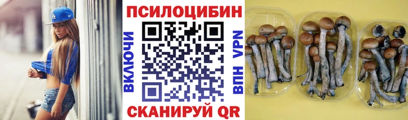 Псилоцибиновые грибы GOLDEN TEACHER  Елабуга 